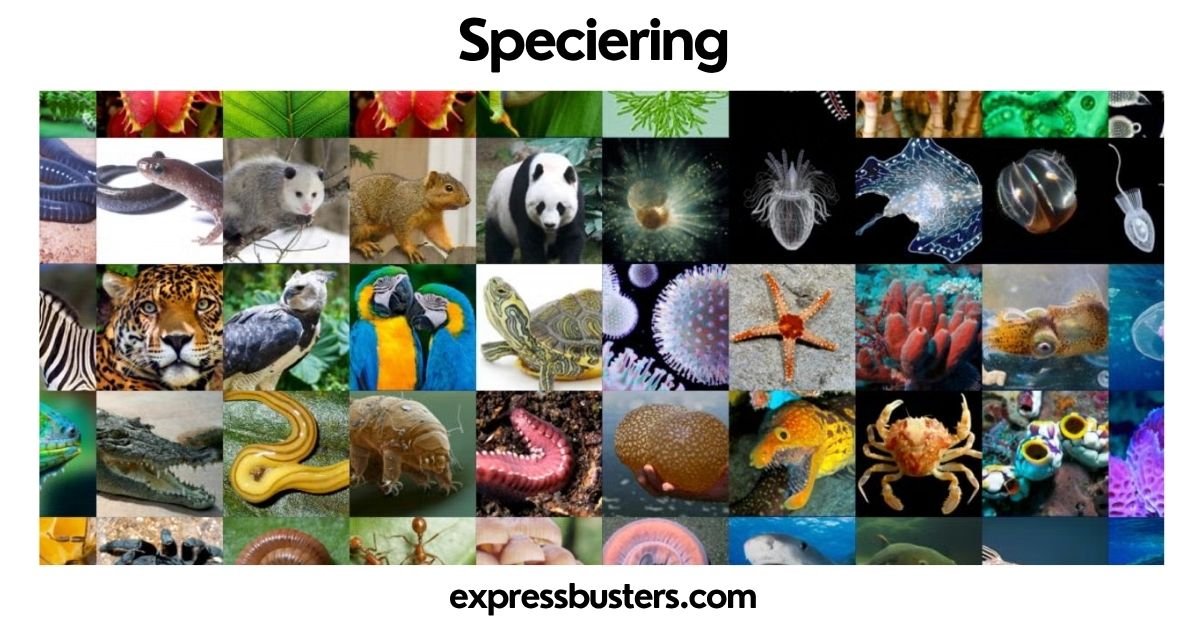 Speciering